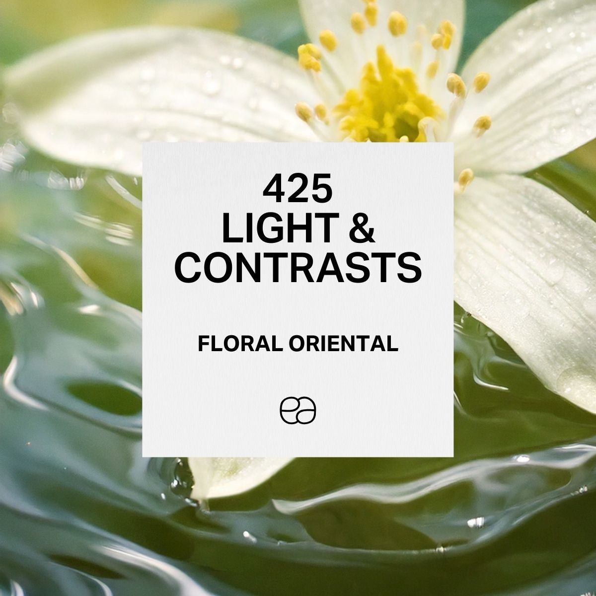 light & contrasts