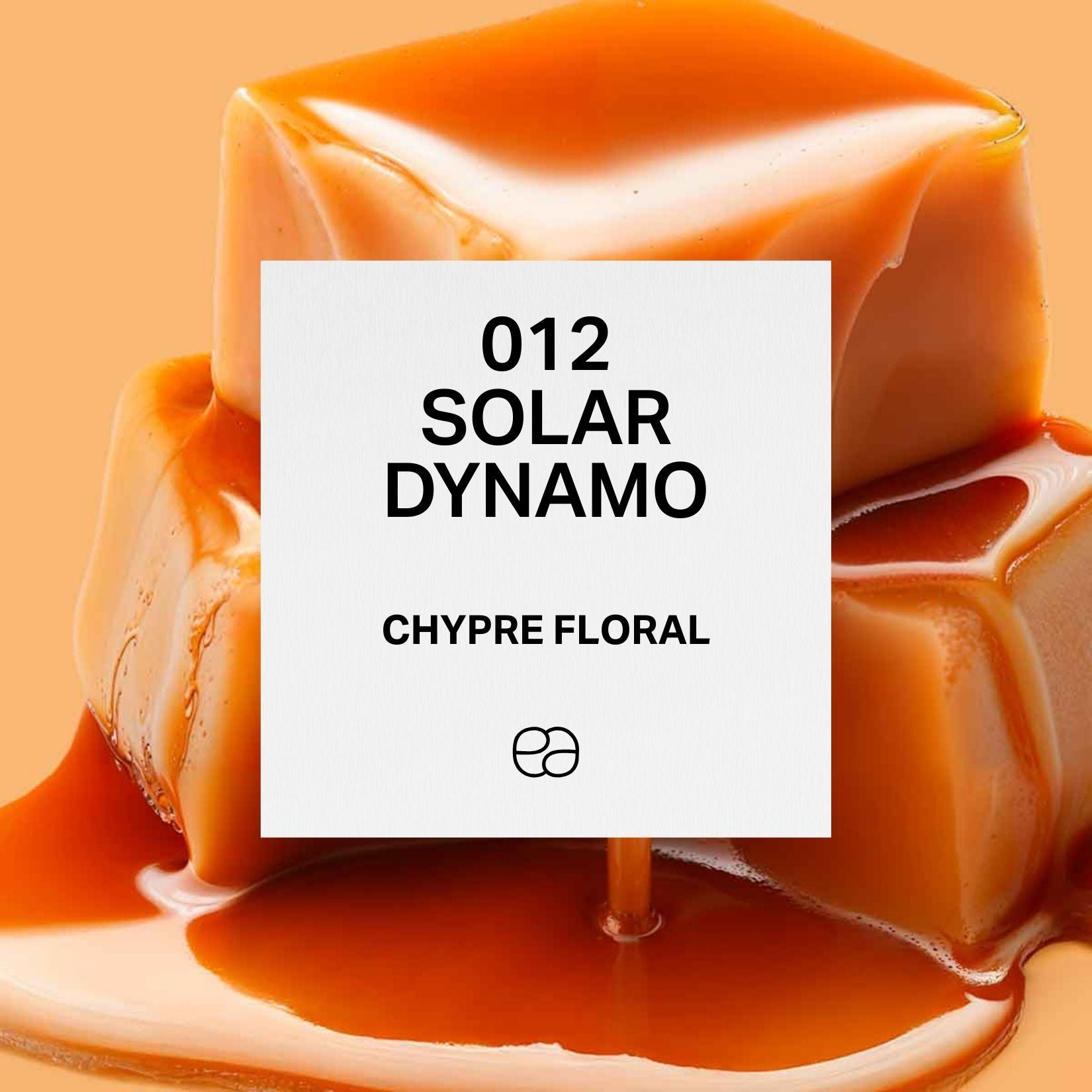 Solar Dynamo